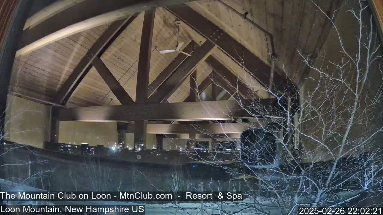 A nighttime view through a window shows a large, wood-beamed interior space with a ceiling fan, partially obscured by snow-covered branches.