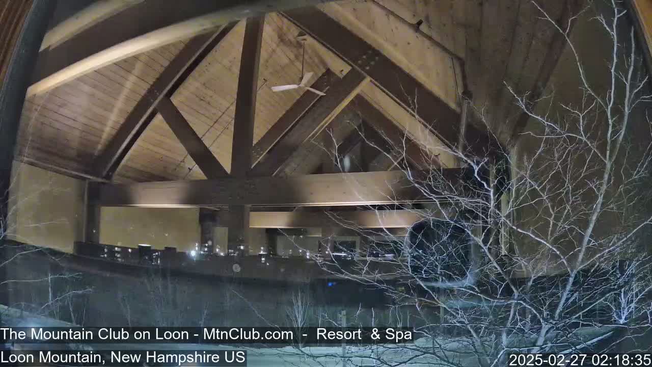 A nighttime view through a window shows a lodge interior with a high, wood-beamed ceiling and a ceiling fan, partially obscured by snow-covered branches outside.