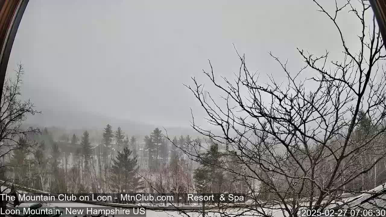 A snow-covered landscape of leafless trees and a hazy, snowy sky is viewed from a window.