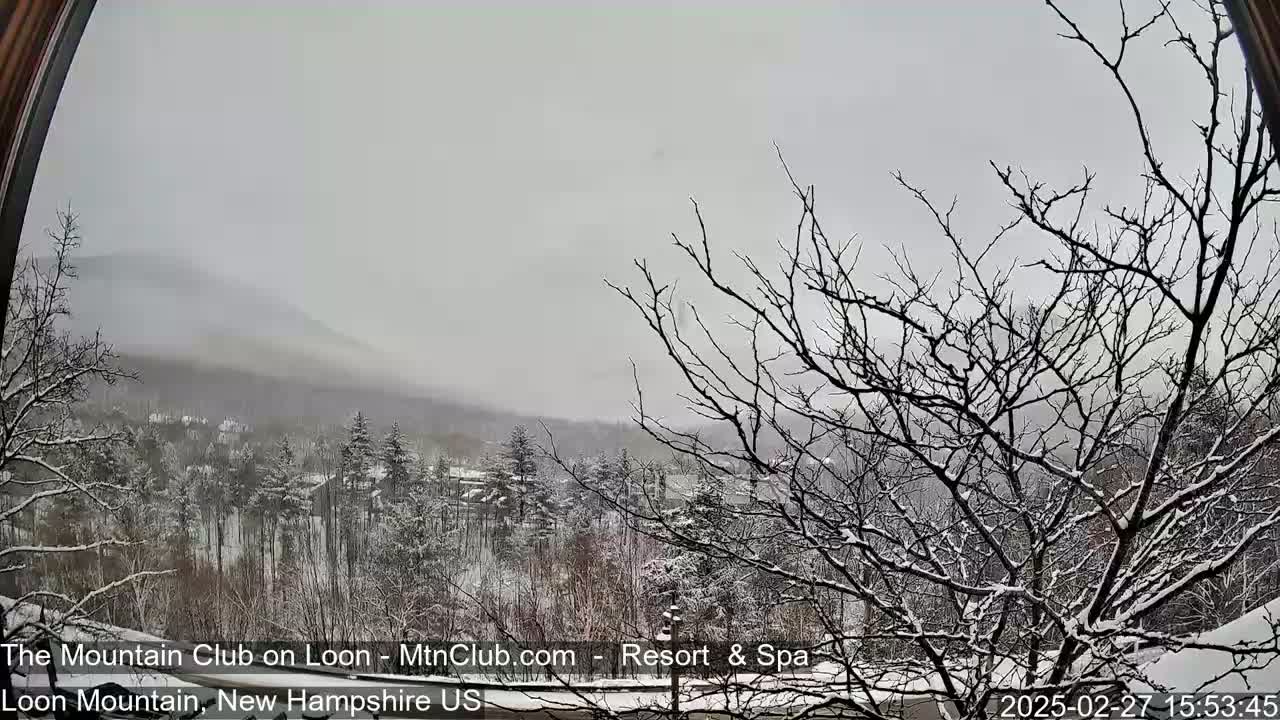 A snow-covered winter landscape is viewed through a window, showing bare trees dusted with snow and a hazy mountain in the distance.