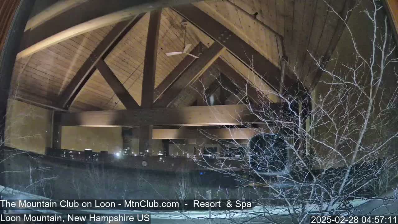A nighttime view through a window shows snow falling outside onto bare branches, while inside a large room with a wooden, vaulted ceiling is dimly lit.