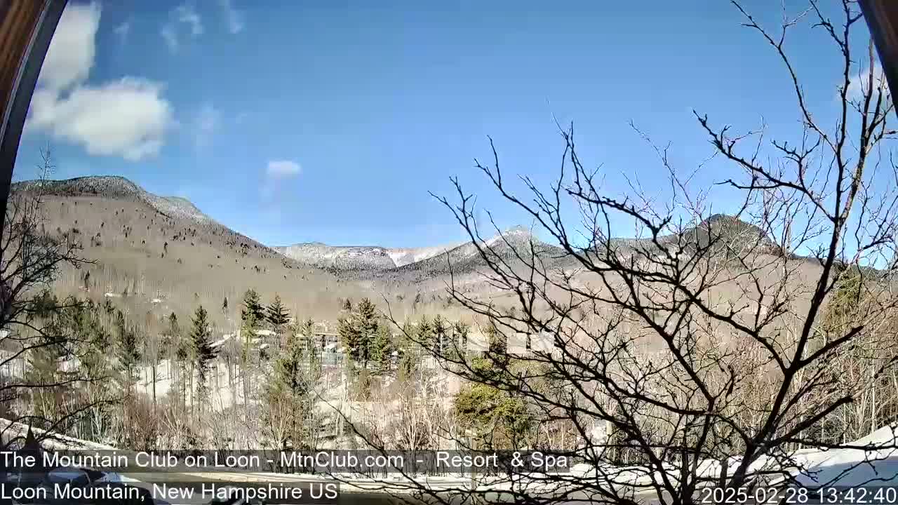 A view of snow-covered mountains under a mostly sunny sky, seen through a bare tree branch in the foreground.