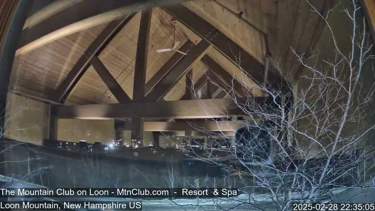 A nighttime view through a window shows a building's interior with a wooden, beamed ceiling and a ceiling fan, while outside, snow-covered bare branches are visible.
