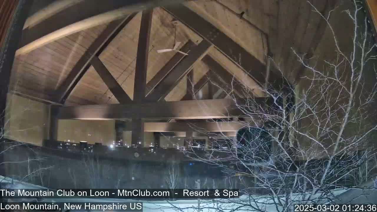 A nighttime view through a window shows a large, interior space with a wooden, A-frame ceiling and a ceiling fan, partially obscured by snow-covered branches outside.