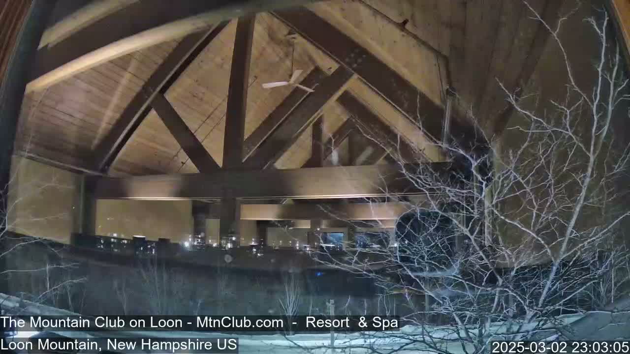 A nighttime view from inside a building shows a high, wood-beamed ceiling and snow-covered bare branches outside a window.