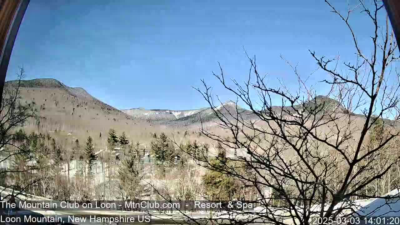 A view of bare trees and distant mountains under a clear blue sky.