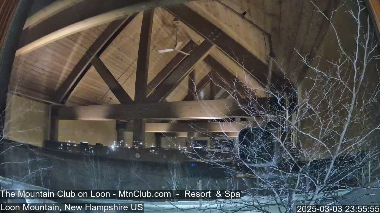 A nighttime view through a window shows a snow-covered landscape with bare branches of a tree in the foreground and a large, illuminated building with a wooden, vaulted ceiling.
