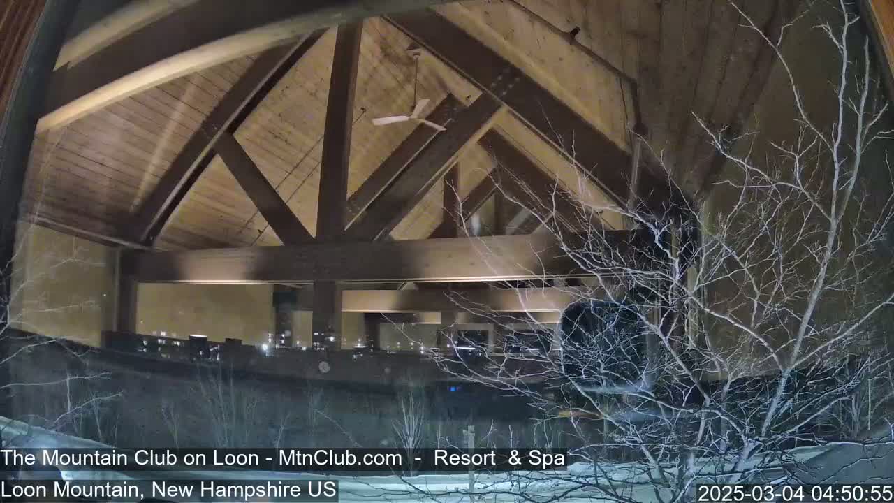 A nighttime view through a window shows a wooden-beamed interior with a ceiling fan, overlooking a snow-covered landscape with bare branches.