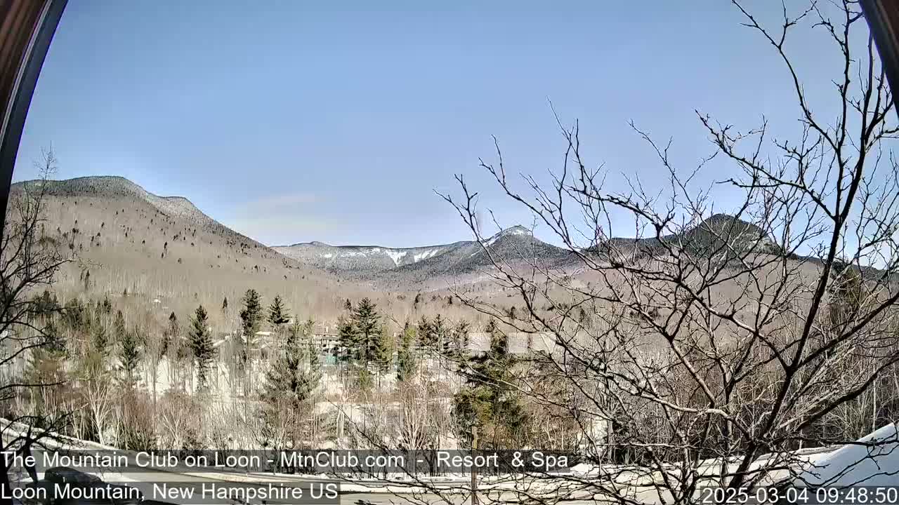 A view of snow-capped mountains and a forest from behind a window on a clear, sunny day.
