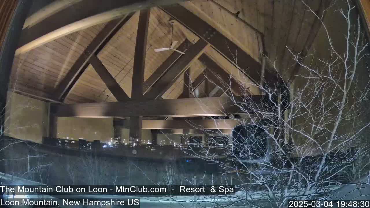 A nighttime view through a window shows a large, high-ceilinged room with exposed wooden beams and a ceiling fan, partially obscured by snow-covered branches outside.
