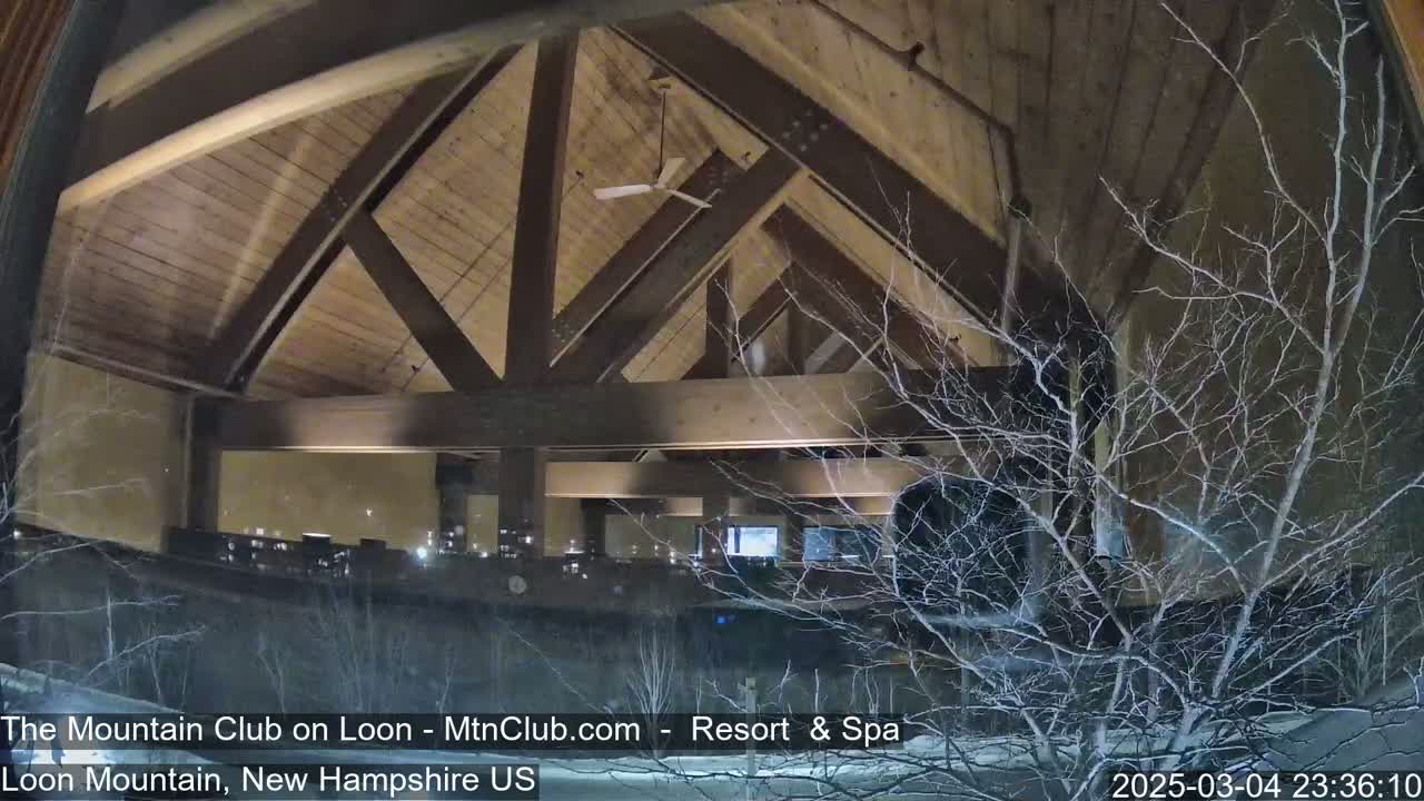 A snow-covered tree branches partially obscure the view of a high-ceilinged, wood-beamed interior space at night.