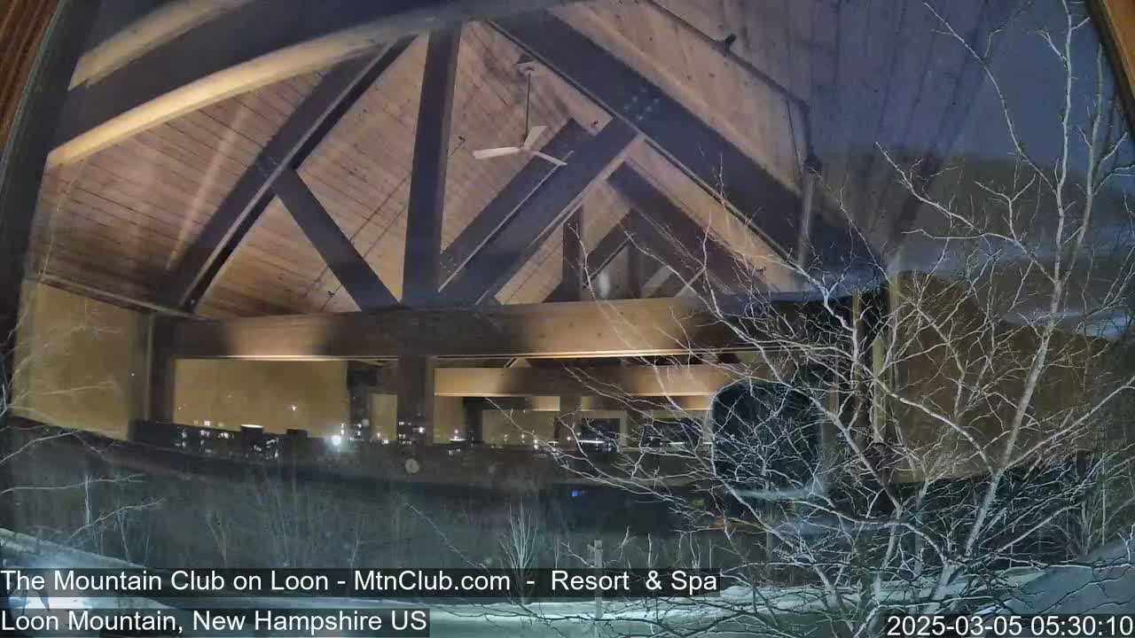 A nighttime view through a window shows a lodge interior with a wooden ceiling and a sparsely branched tree covered in snow outside.