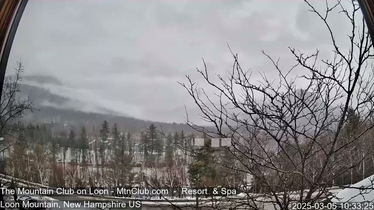 A snowy, overcast view of a wooded mountain range seen through a window, with bare branches in the foreground.