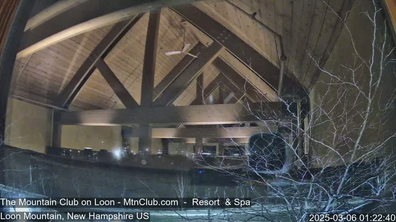 A nighttime view through a window shows a wood-beamed interior illuminated with soft lighting, partially obscured by snow-covered branches outside.