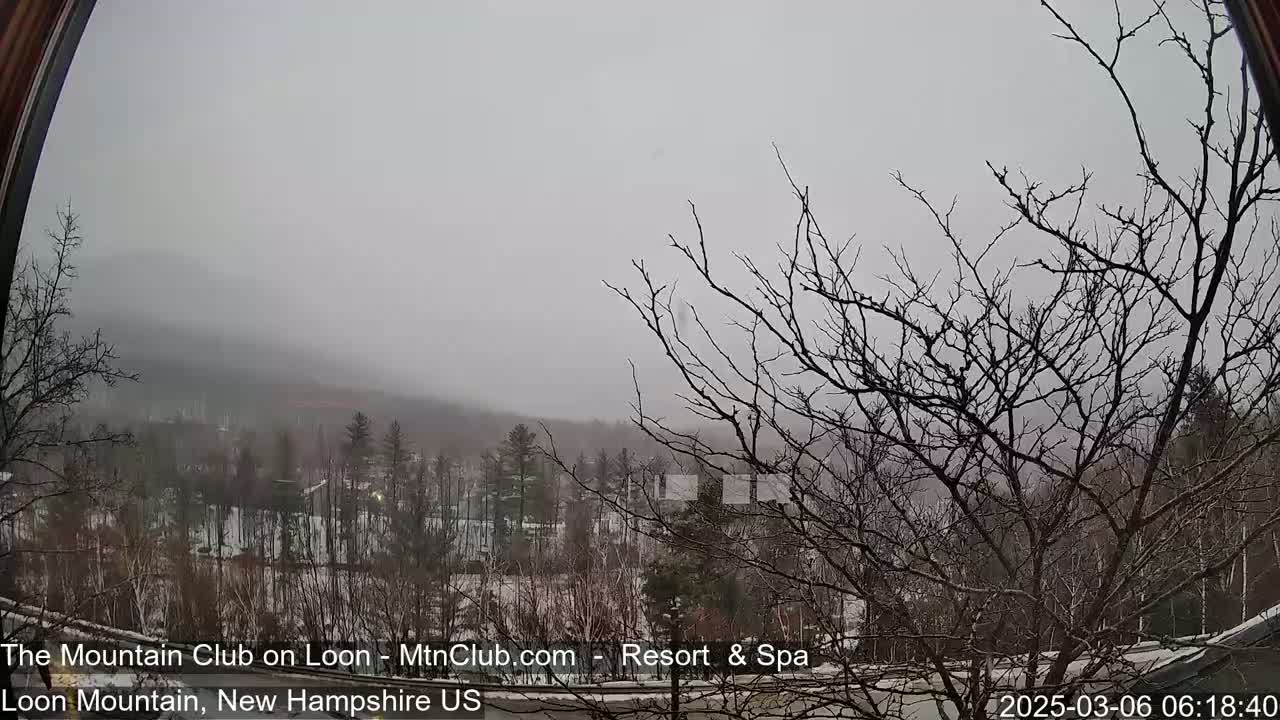 A snowy, foggy view of a snow-covered landscape with bare trees in the foreground and a mountain range in the background, seen through a curved window.