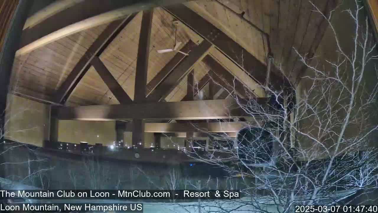 A nighttime view of a building's interior through a window, showing a wooden ceiling with exposed beams and a ceiling fan, viewed amidst snow-covered, leafless trees.