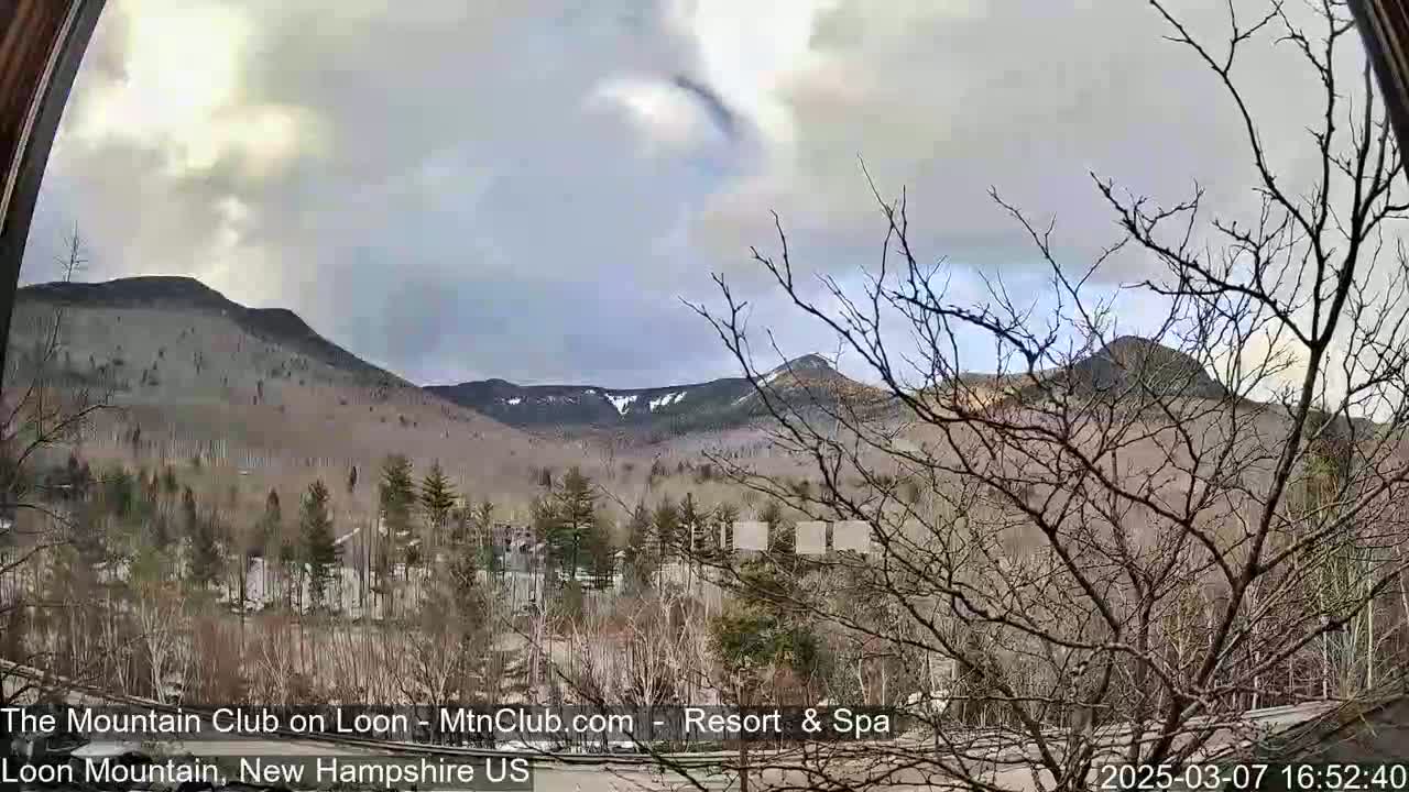 A view of snow-capped mountains and bare trees under an overcast sky.