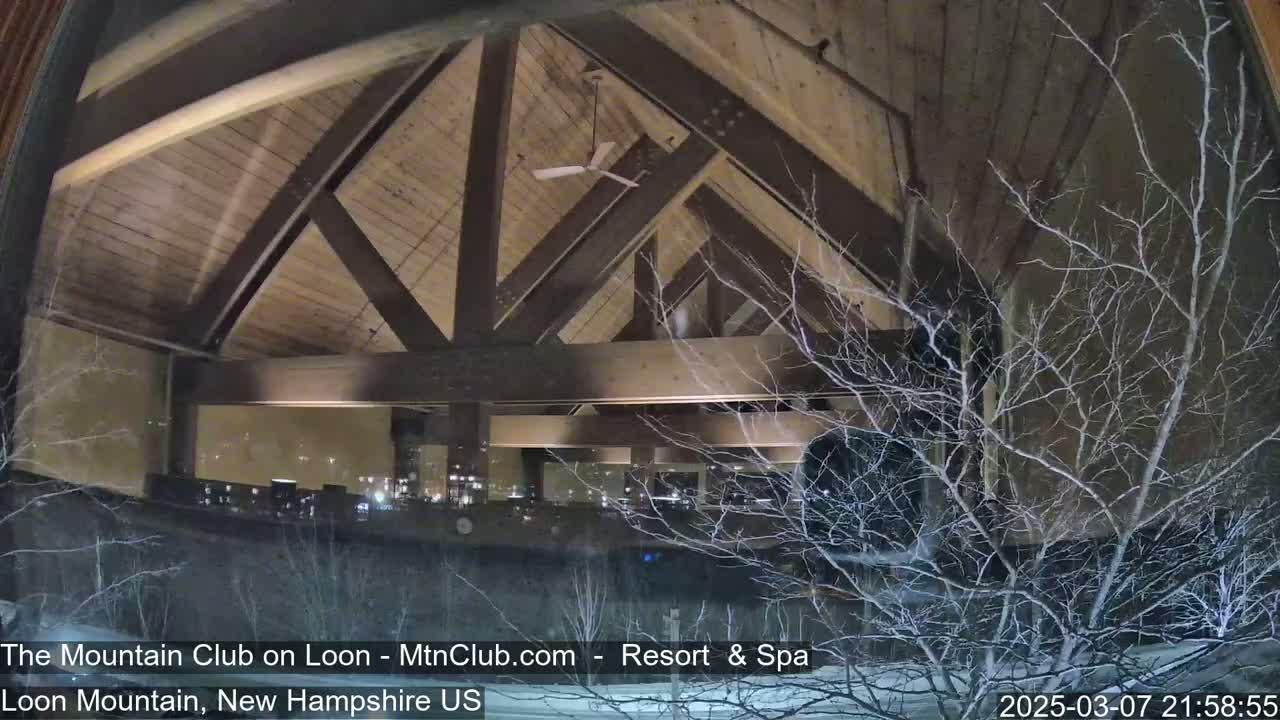 A nighttime view through a window shows a large, wood-beamed interior space with a ceiling fan, partially obscured by bare branches of a tree covered in snow.