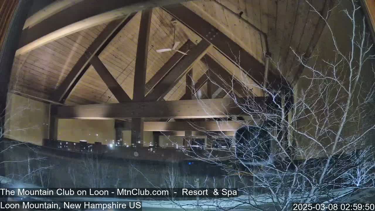 A nighttime view through a window shows a building's interior with a high, exposed wooden beam ceiling and a ceiling fan, while snow falls outside against bare branches.