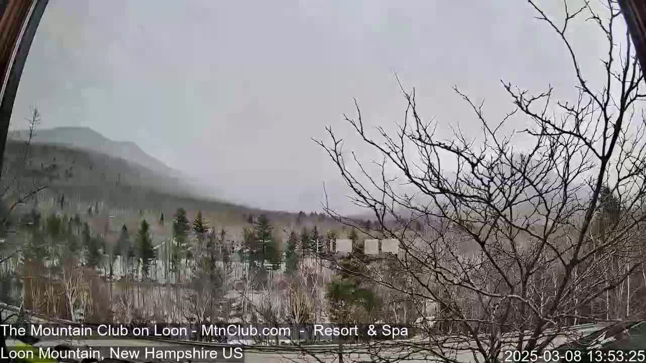 A snowy, overcast view of a mountainous landscape with leafless trees in the foreground.