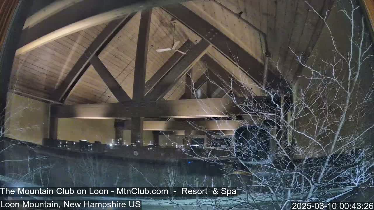 A nighttime view through a window shows a large, wood-beamed interior space with a ceiling fan, partially obscured by snow-covered bare branches.