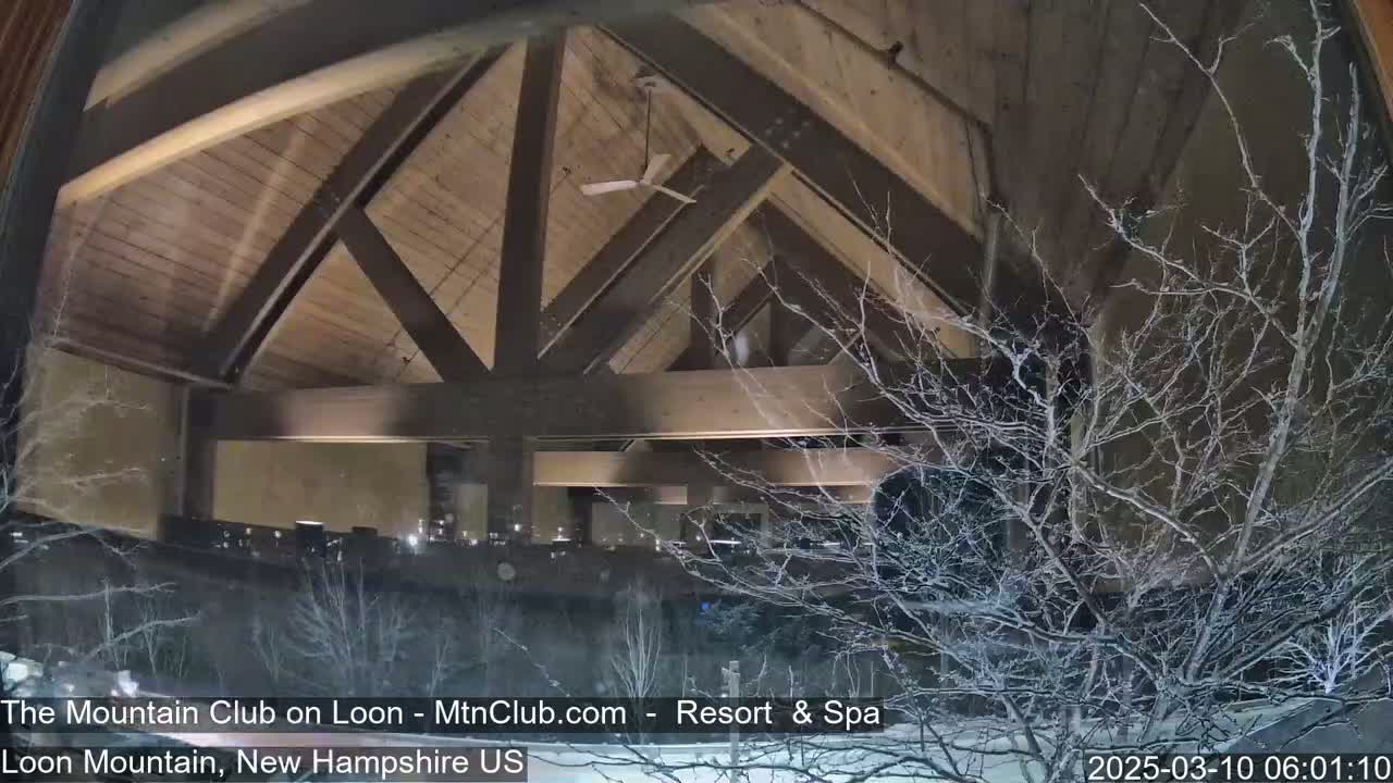 A snow-covered, bare-branched tree is visible outside a window looking into a large, dark, wooden-beamed interior space lit with warm lights.