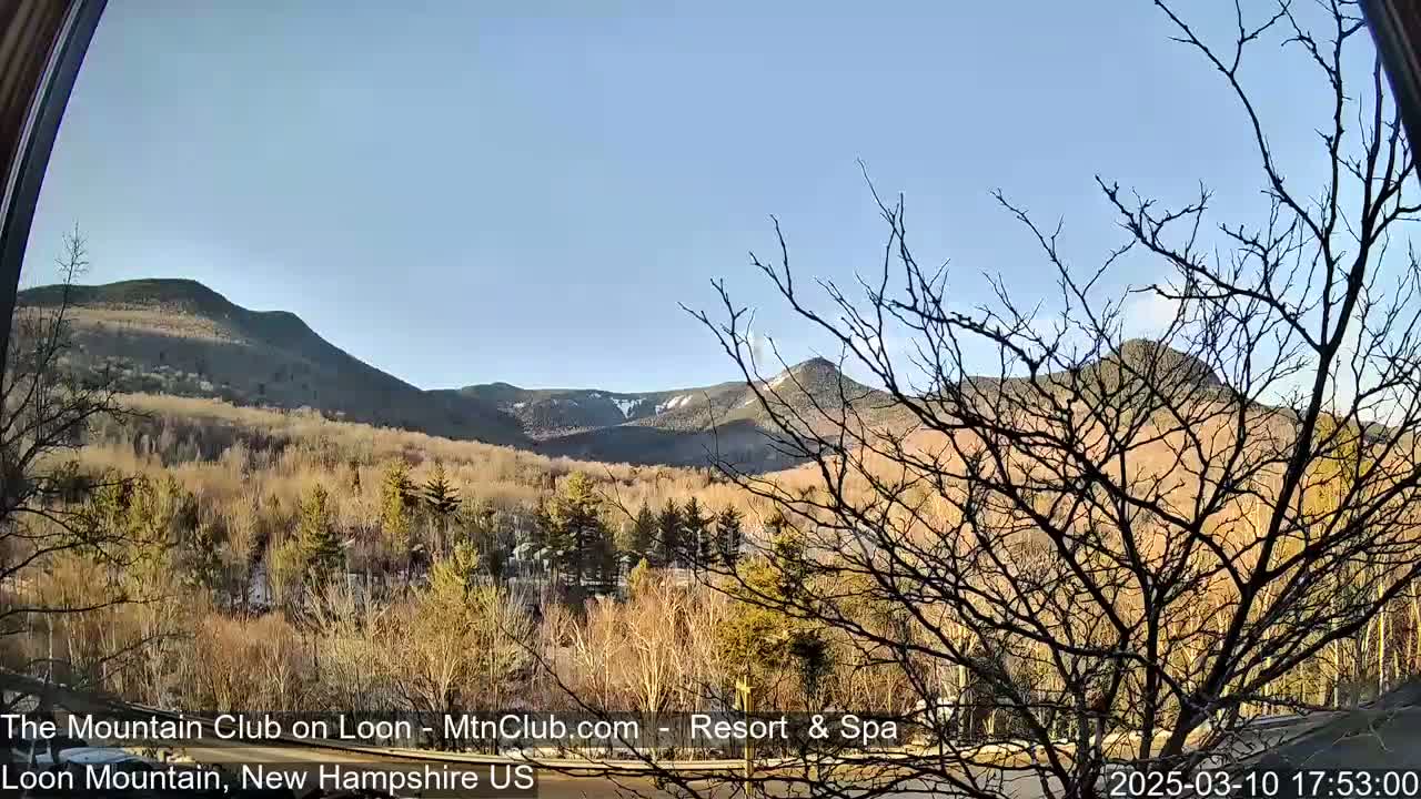 A clear, sunny day reveals a mountain range partially covered in snow, viewed from behind bare, winter trees.