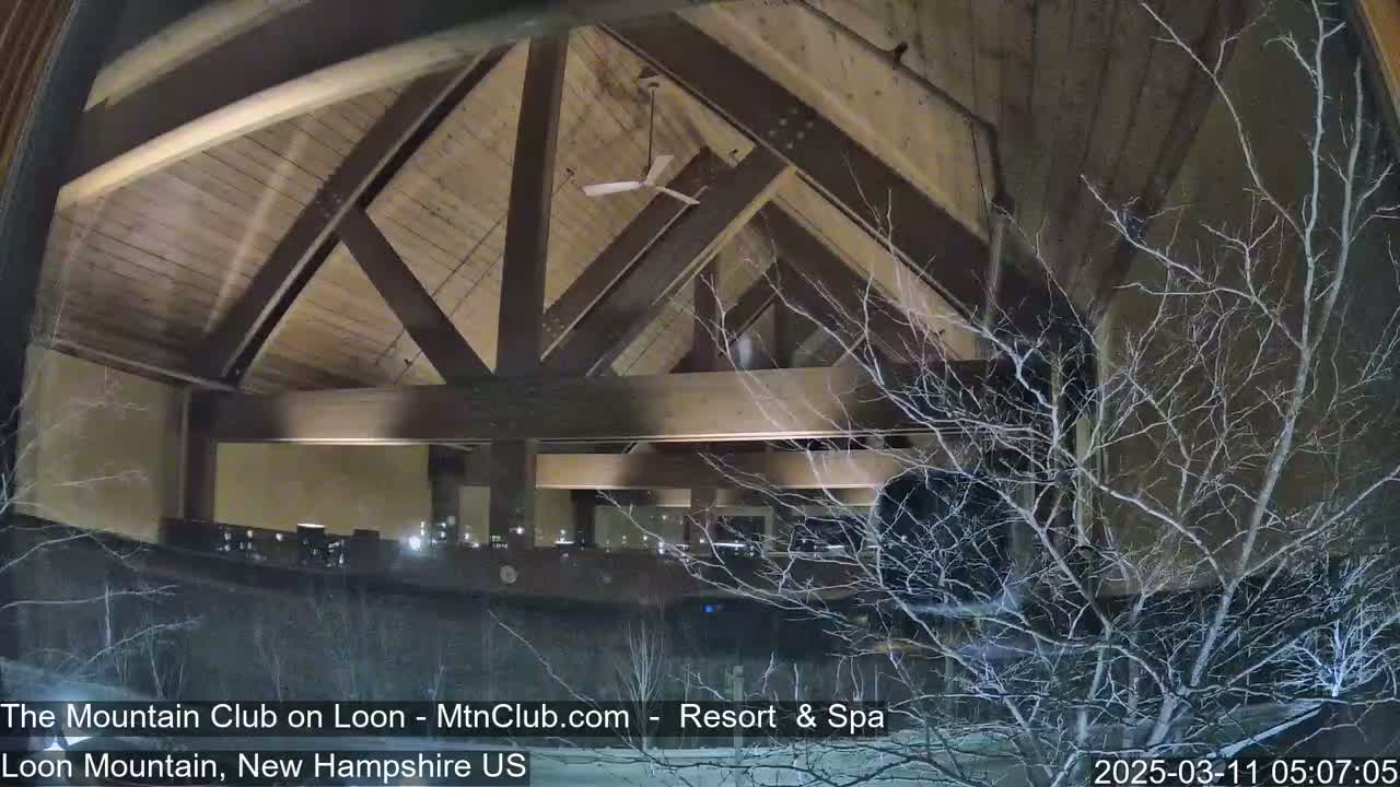A nighttime view of a building's interior with a high, wood-beamed ceiling and a ceiling fan, seen through a window partially obscured by bare, snow-covered branches.