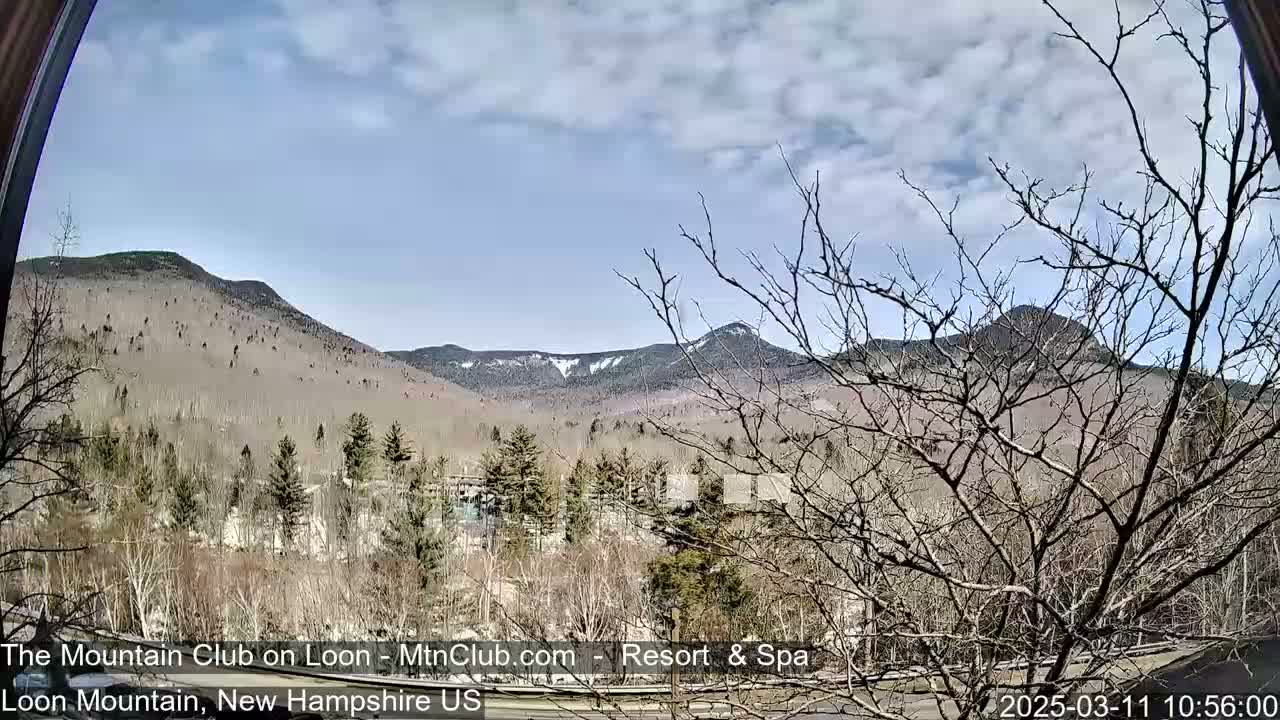A partly cloudy day reveals a view of distant mountains with some snow, partially obscured by bare trees in the foreground.
