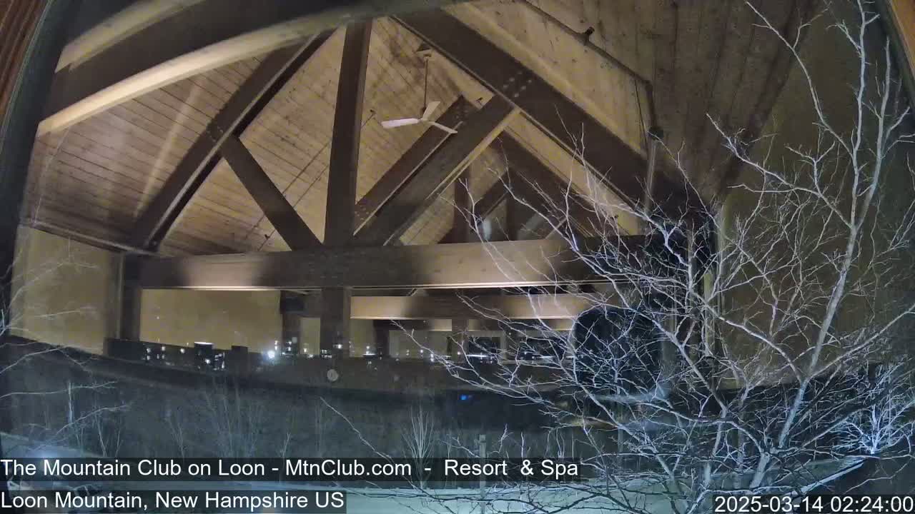 A snow-covered nighttime view through a window shows the interior of a building with a high, wood-beamed ceiling and a ceiling fan, partially obscured by bare branches.