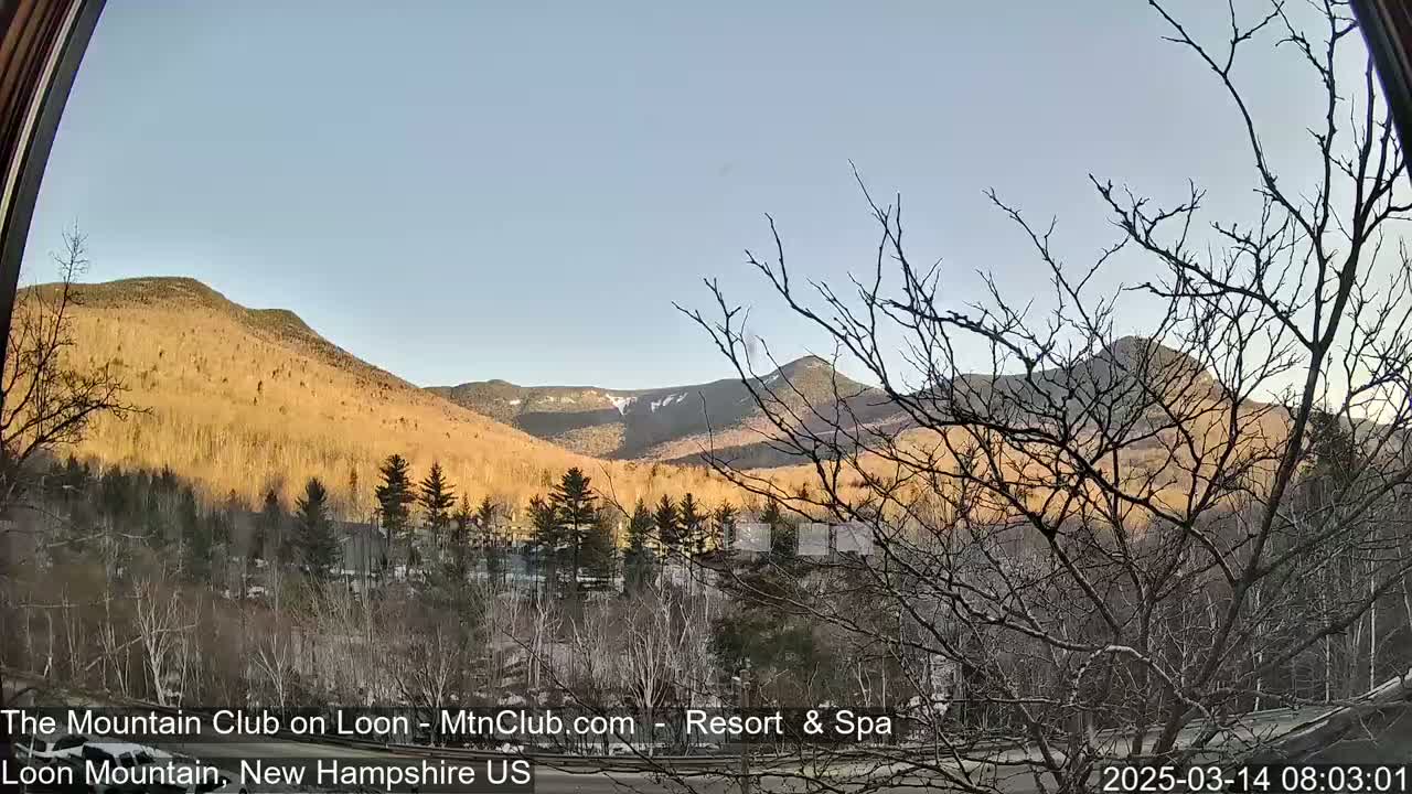 A clear, sunny morning view of golden-hued hills and mountains partially covered with snow, seen through bare branches of trees.