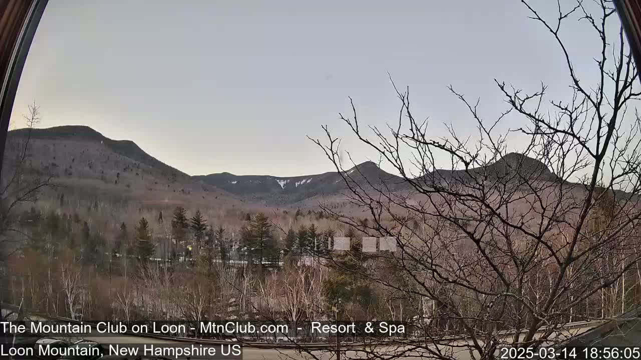 A view of snow-capped mountains in the distance, partially obscured by bare, winter trees in the foreground under a pale, overcast sky.