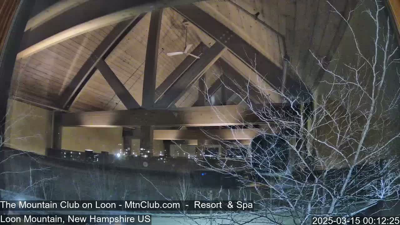 A nighttime view through a window shows the interior of a large, high-ceilinged building with exposed wooden beams and a ceiling fan, partially obscured by bare branches of trees outside in the snow.