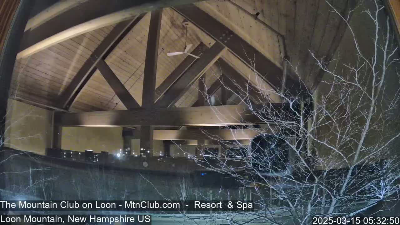 A nighttime view through a window shows a building's interior with a wooden vaulted ceiling and a snow-covered tree branch outside.