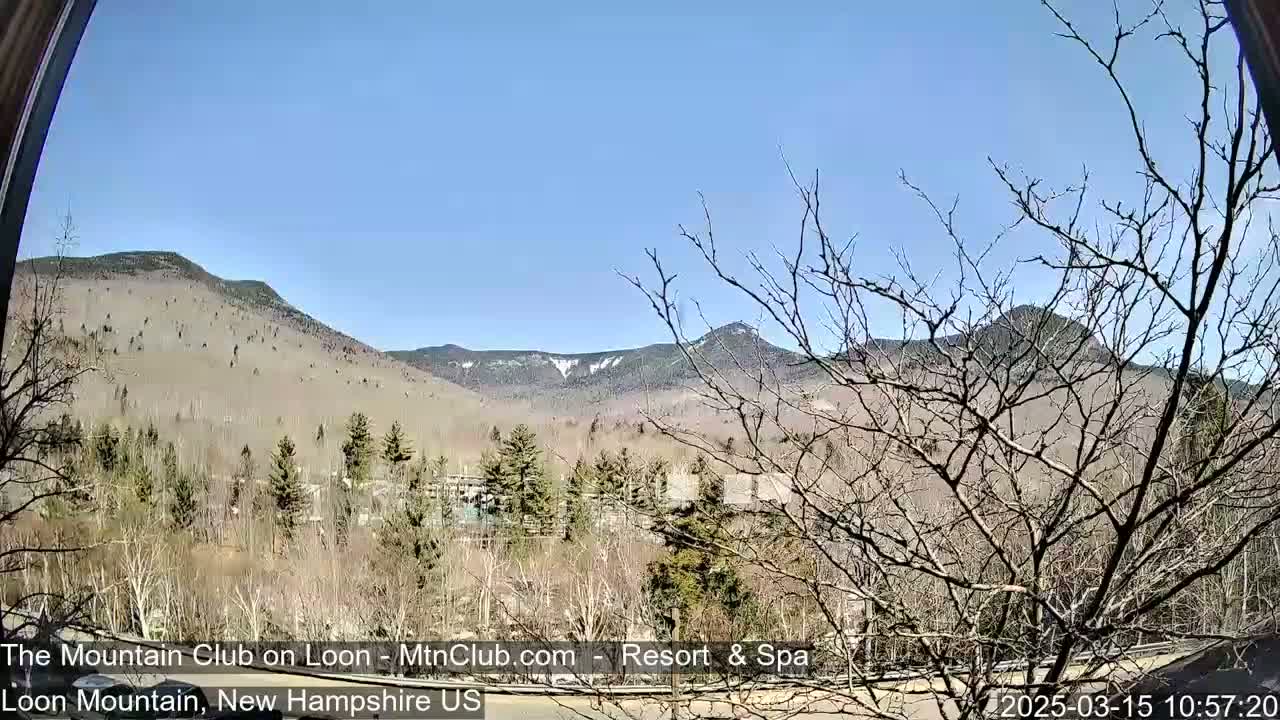 A view of bare trees in the foreground and mountains in the background under a clear blue sky.