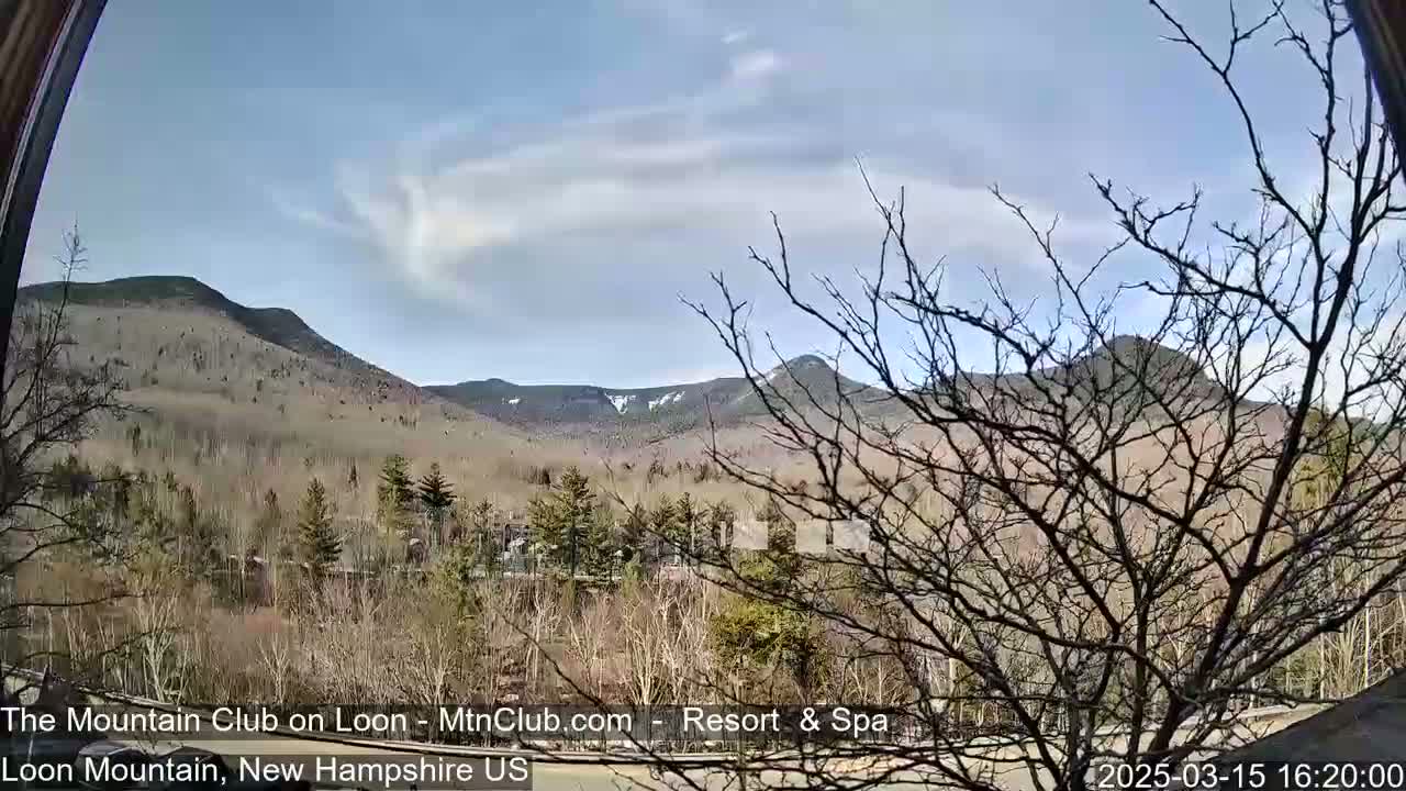 A mostly sunny view of distant mountains with patches of snow, partially obscured by bare branches in the foreground.