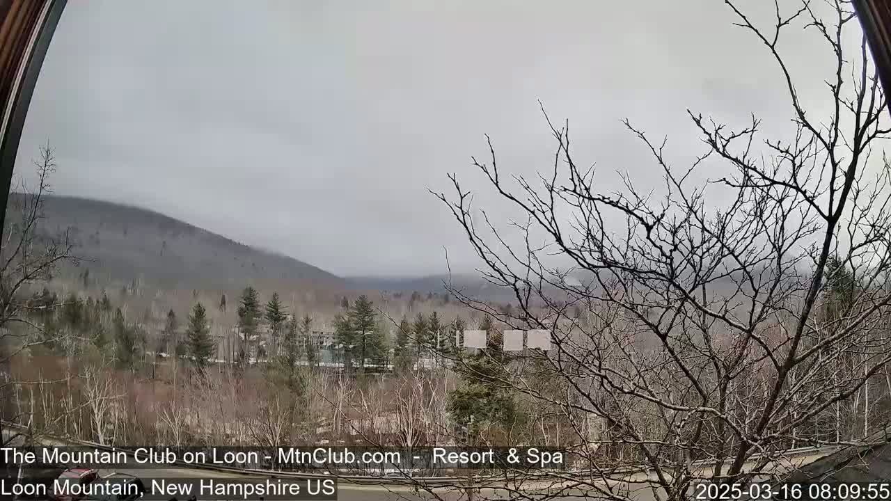 A view through a window shows a hazy, overcast day with bare trees in the foreground and a mountain range shrouded in mist in the background.