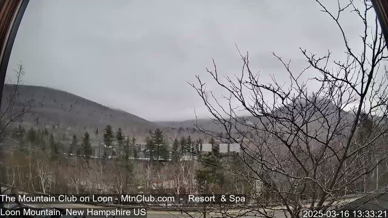 A view through a window shows a misty, overcast day with bare trees in the foreground and distant, fog-covered mountains.