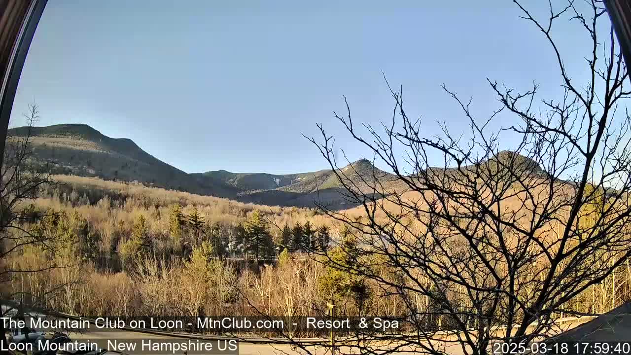 A view of mountains under a clear blue sky, partially obscured by bare, winter trees in the foreground.