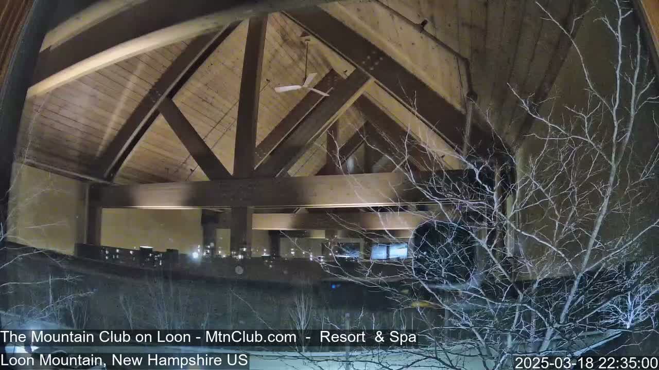 A nighttime view through a window shows the exposed wooden beams and ceiling of a building, with bare branches of trees visible outside in the snow.