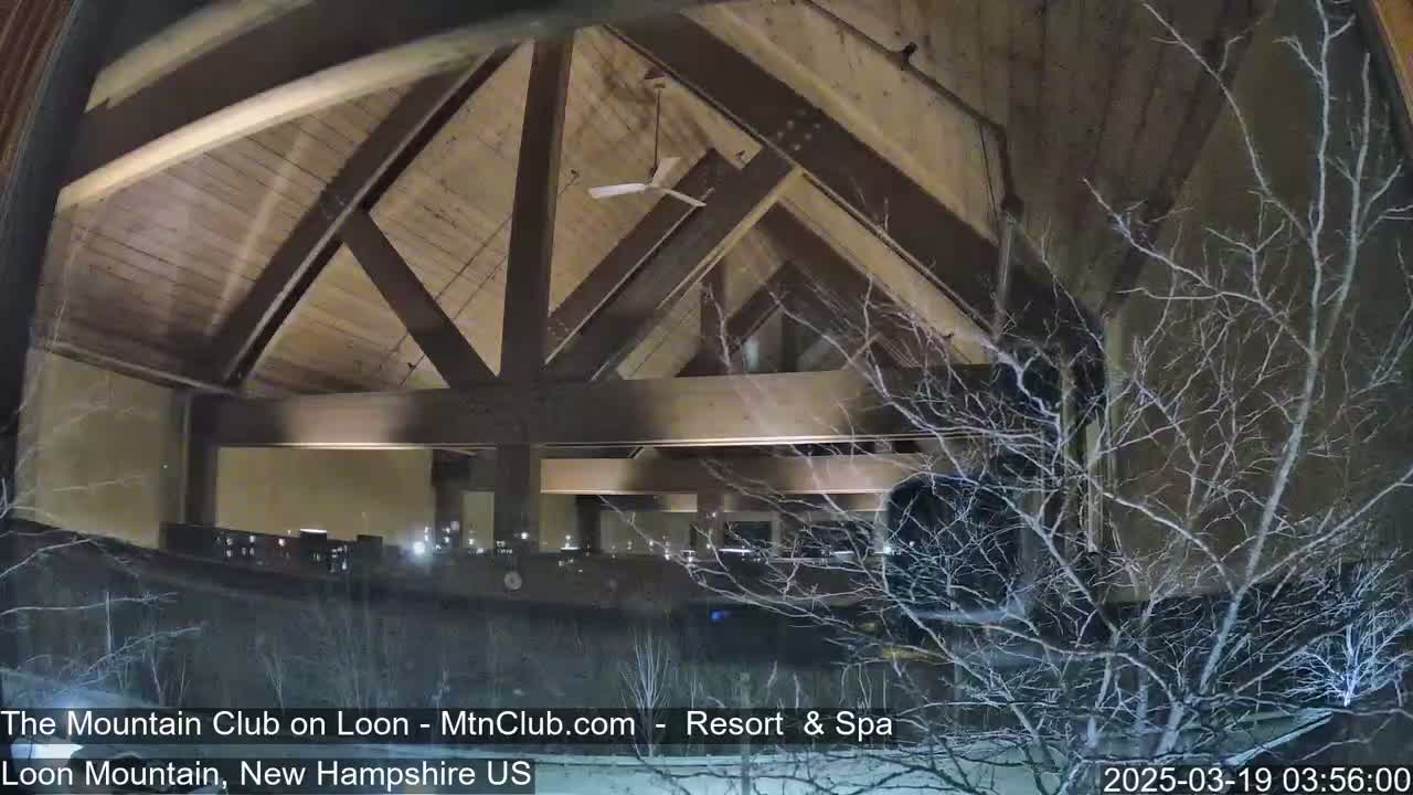 A nighttime view through a window shows the interior of a lodge with a high, wood-beamed ceiling and a ceiling fan, partially obscured by snow-covered branches outside.