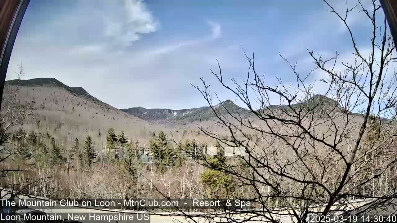 A partly cloudy sky overlooks bare, early spring trees and distant mountains with a small patch of snow.