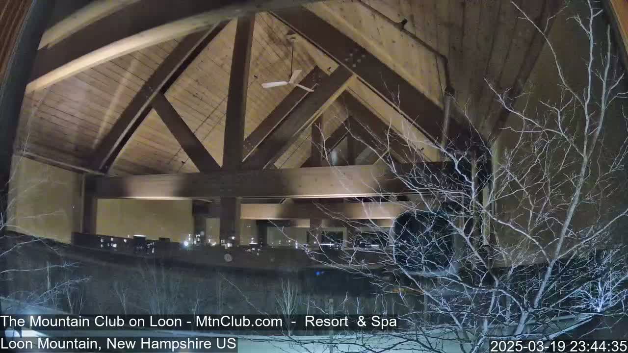 A nighttime view through a window shows a building's interior with a high, wood-beamed ceiling and a ceiling fan, partially obscured by bare, snow-dusted branches outside.
