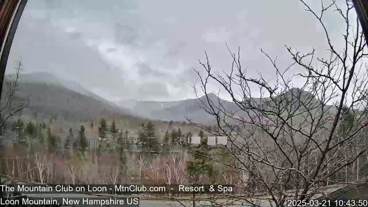 A view of snow-covered mountains and bare trees under an overcast sky.