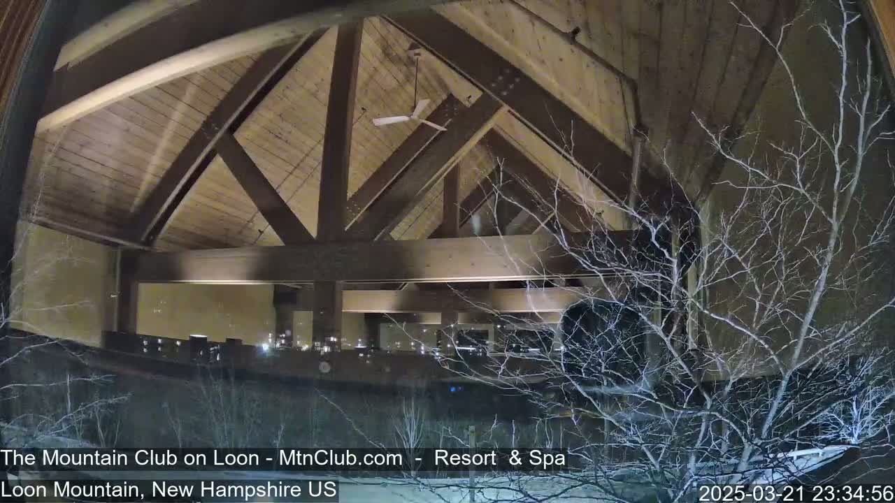 A nighttime view through a window shows a high-ceilinged interior with exposed wooden beams and a ceiling fan, partially obscured by snow-covered branches outside.