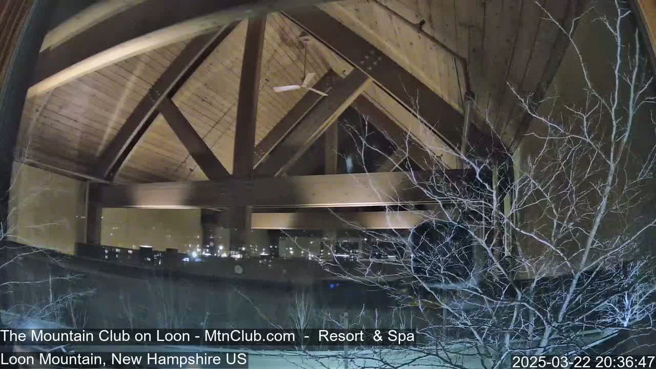 A nighttime view from inside a building shows a wooden beamed ceiling, a ceiling fan, and bare trees outside covered in snow.