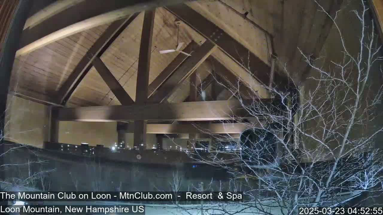 A nighttime view from inside a building shows a high-ceilinged room with exposed wooden beams and a ceiling fan, partially obscured by bare branches of trees outside.