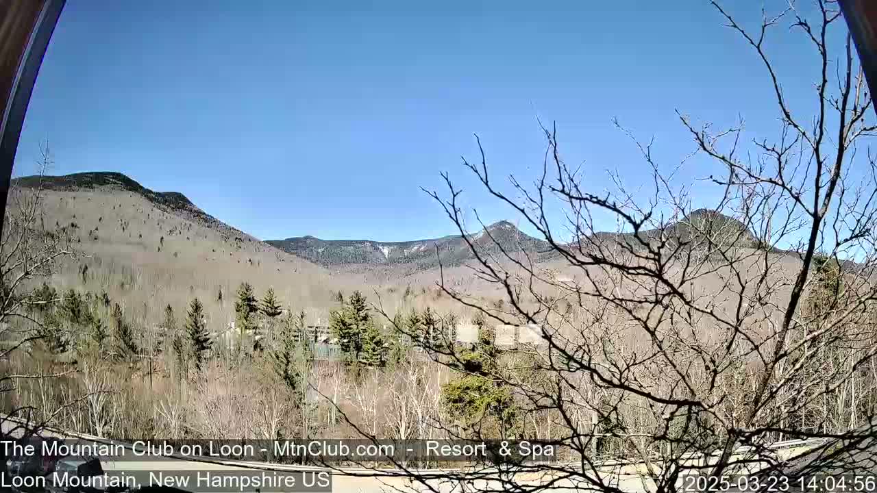 A view of mountains partially covered in snow, under a clear blue sky, seen through bare branches of trees in the foreground.