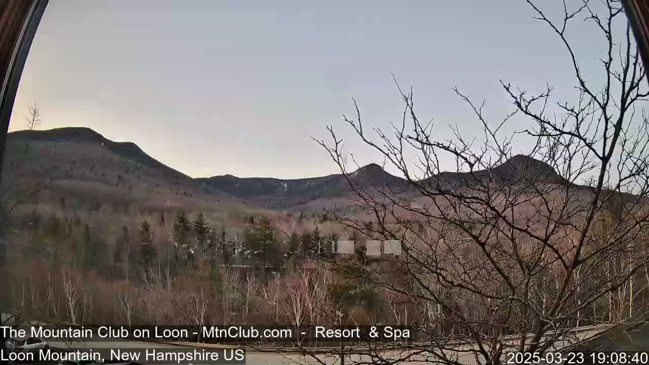 A view through a window shows bare trees in the foreground and mountains in the background under a clear, twilight sky.