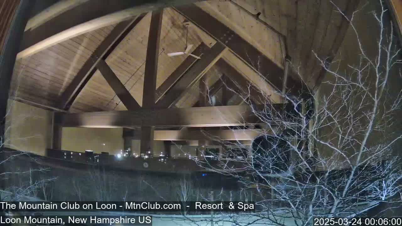 A nighttime view through a window shows the interior of a lodge with a high, wood-beamed ceiling, and bare, snow-covered trees outside.